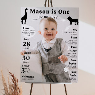 First Birthday Photo Milestone Poster