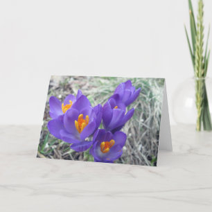 First Blooms of Spring Card