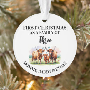 First Christmas As a Family of 3,Custom Highland  Ornament