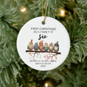 First Christmas Bird Family of Six Ceramic Tree Decoration