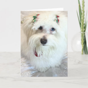 First Christmas  Card