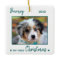 First Christmas Cute Puppy - Green Dog Pet Photo