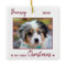 First Christmas Cute Puppy - Red Dog Pet Photo