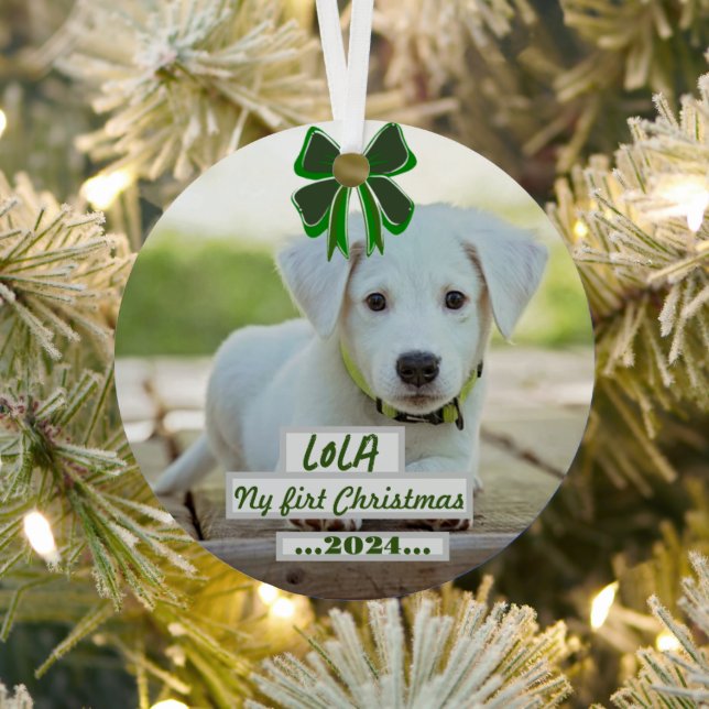 First Christmas ornament with my pet (Insitu)