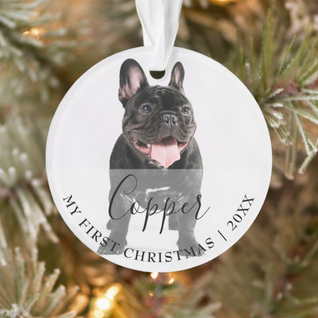 First Christmas Pet 2 Photo Script Name Ornament (Tree)