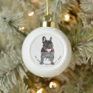 First Christmas Pet Photo Script Name Ornament