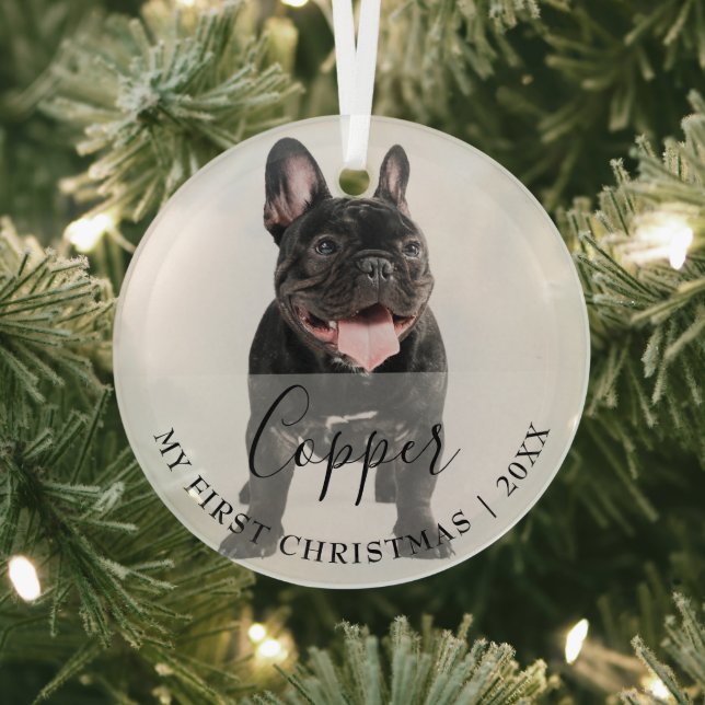 First Christmas Pet Photo Script Name Ornament (Insitu)