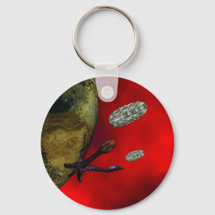 first contact key ring