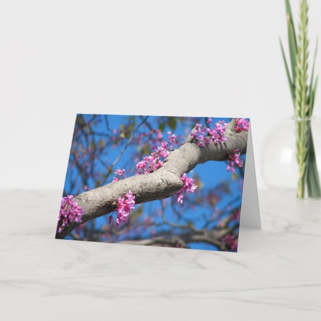 First Day of Spring Card (Front)