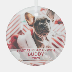 First dog Christmas photo & name cute Glass Tree Decoration