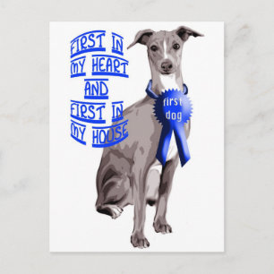 First Dog Italian Greyhound Postcard