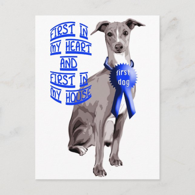 First Dog Italian Greyhound Postcard (Front)