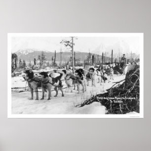 First Dog Team Alaska 1910 Poster