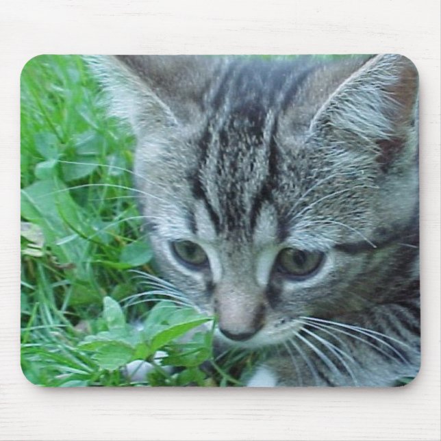First Explore Mouse Mat (Front)