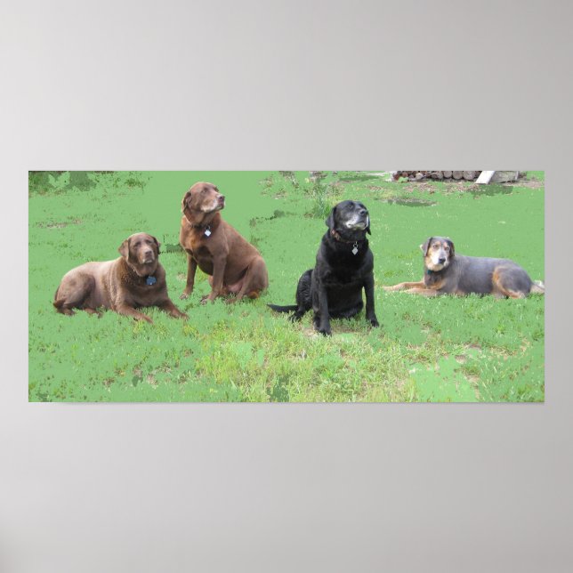 First Four Poster (Front)