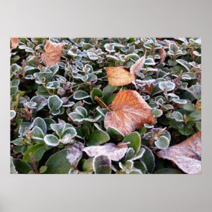 first frost poster