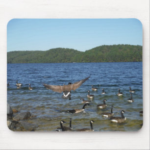 First goose to fly, geese on Lake Arrowhead Mouse Mat