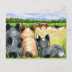 First Lesson by Andie Postcard