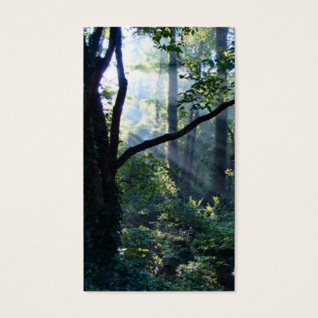 First Light Bookmarks (Front)