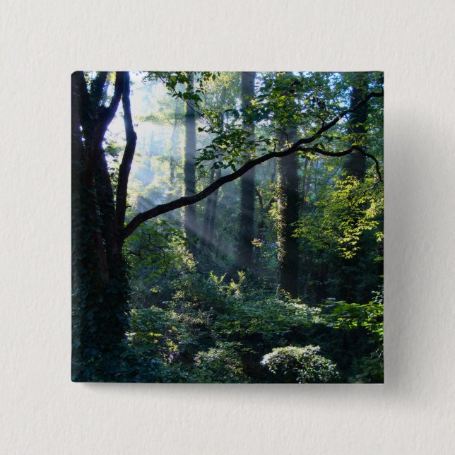 First Light Button (Front)