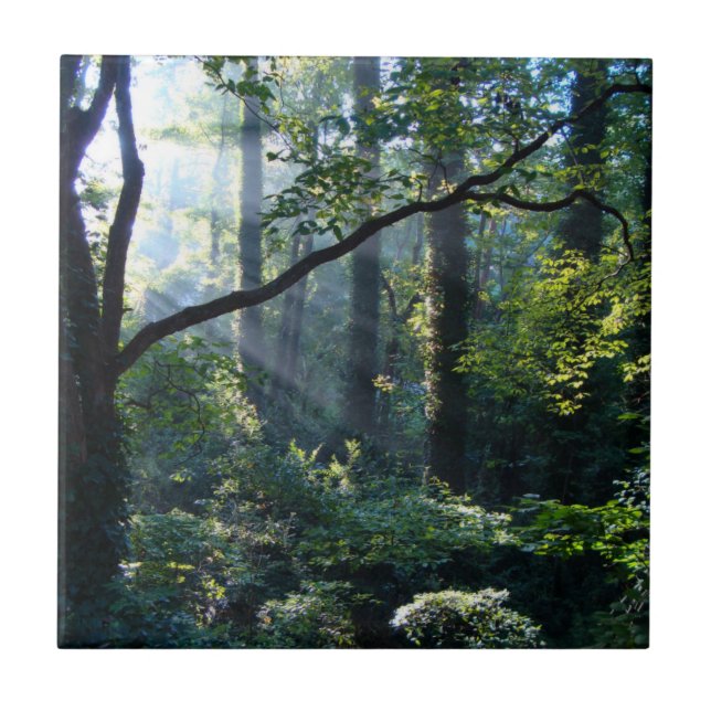 First Light Decorative Tile (Front)