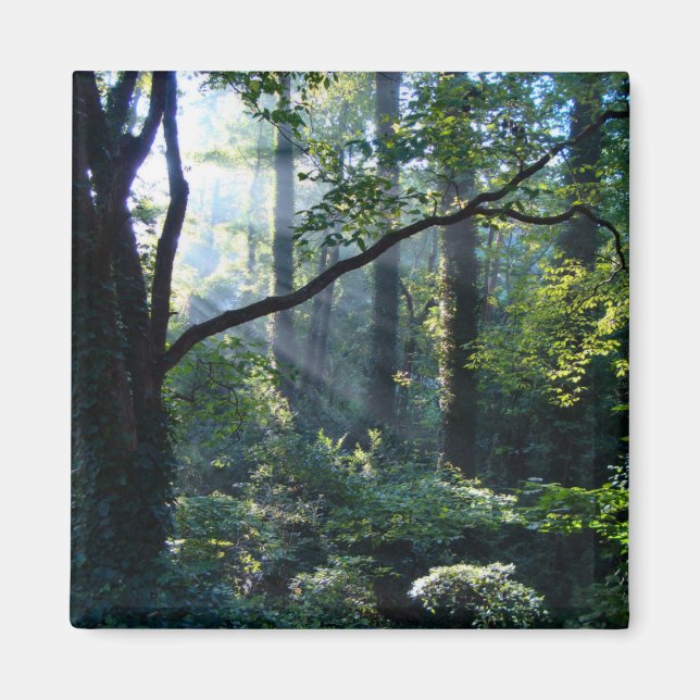 First Light Magnet (Front)