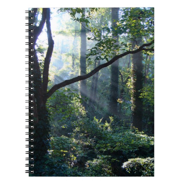 First Light Notebook (Front)