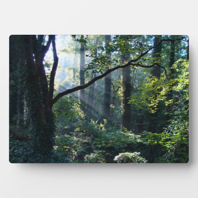 First Light Photo Plaque (Front)