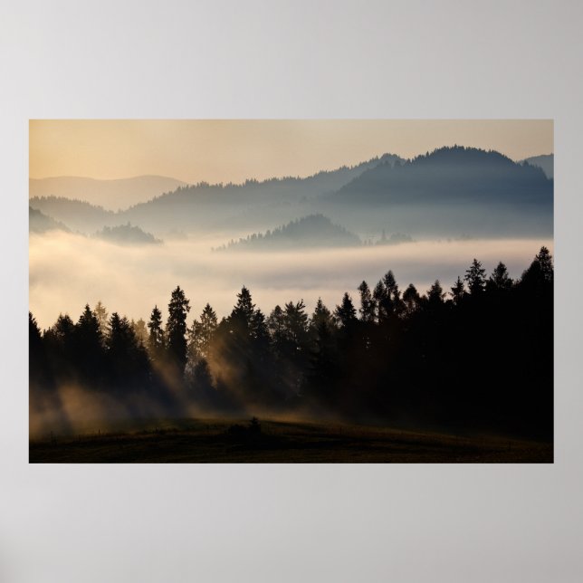 First Light Poster (Front)