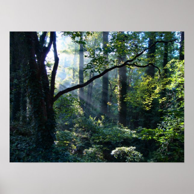 First Light Print (Front)