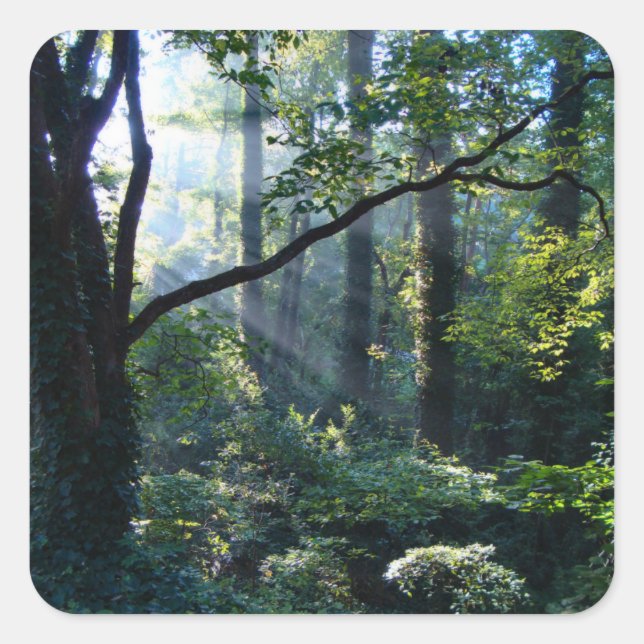 First Light Stickers (Front)