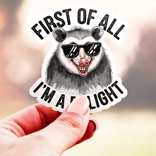 First of All I'm a Delight Opossum Vinyl