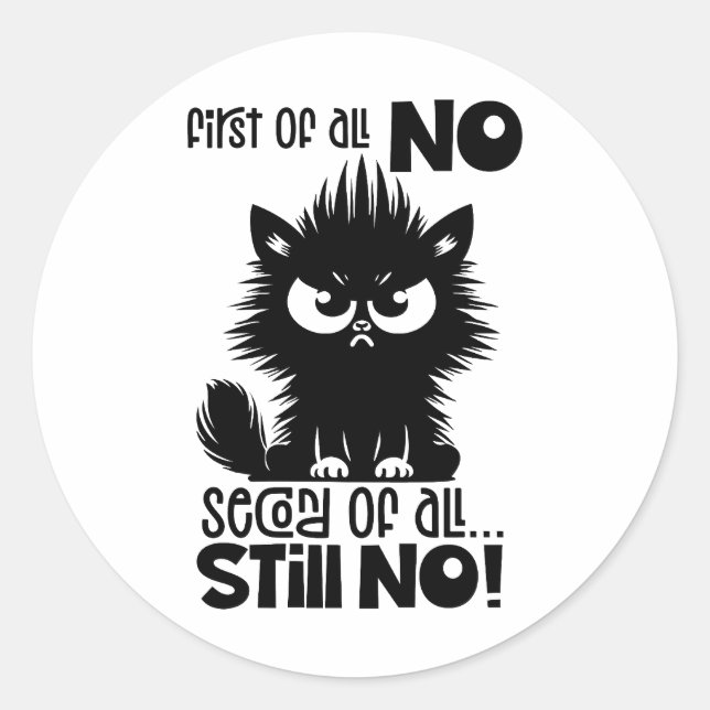 First Of All, No Funny Cat Lover Gift  Classic Round Sticker (Front)