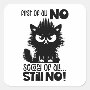 First Of All, No Funny Cat Lover Gift Square Sticker