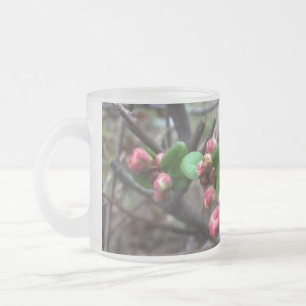 First pink buds frosted glass coffee mug