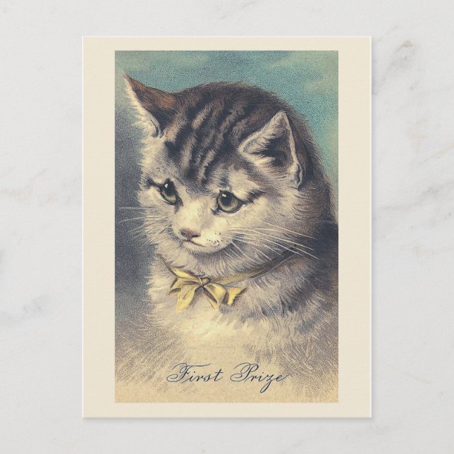 "First Prize" Vintage Cat Portrait Postcard (Front)