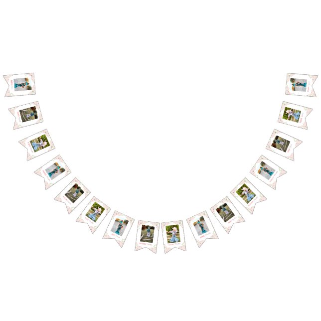 First Rodeo Monthly Photo Banner Bunting Flags (All)