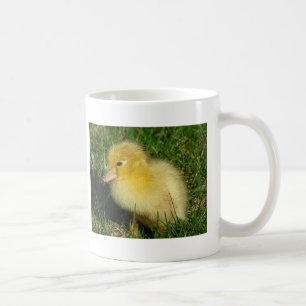 First Scovie of the Season Coffee Mug
