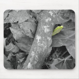 First sign of Spring Mouse Mat