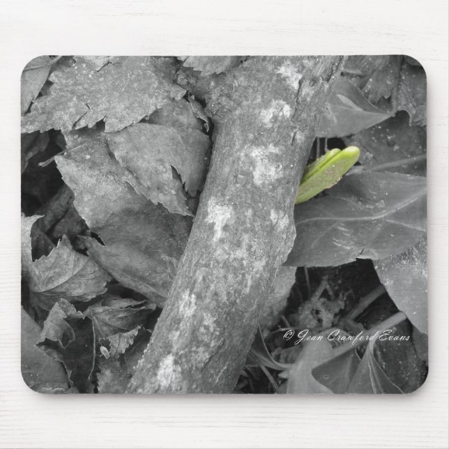 First sign of Spring Mouse Mat (Front)