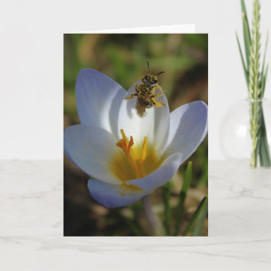 First Signs of Spring Card