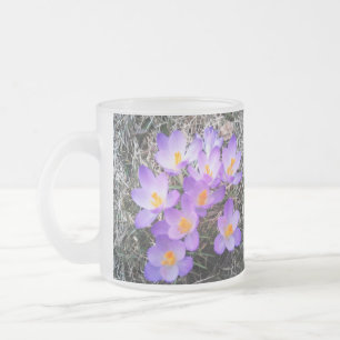 FIRST SIGNS OF SPRING  FROSTED GLASS COFFEE MUG