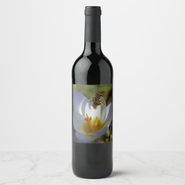 First Signs of Spring Wine Label (Front)