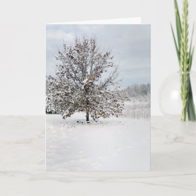 First Snow Blank Note Card (Front)