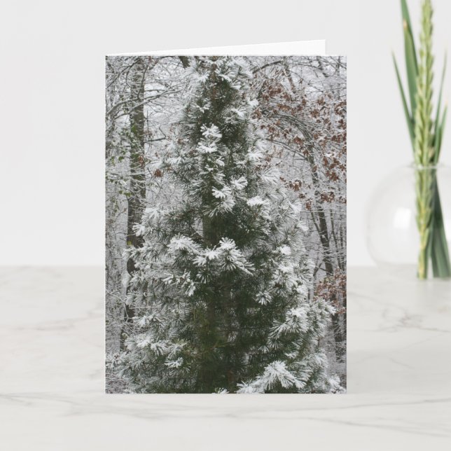 First Snow Holiday Card (Front)
