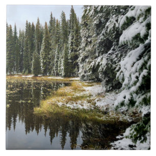 First snow on Golden Waters Tile