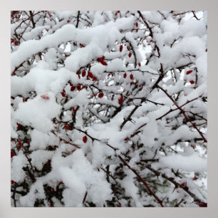 first snow poster