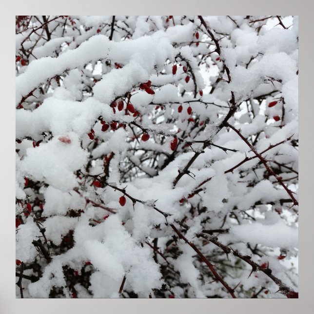 first snow poster (Front)