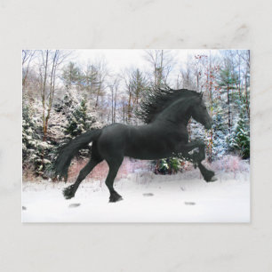 "First Snow Run" Postcard