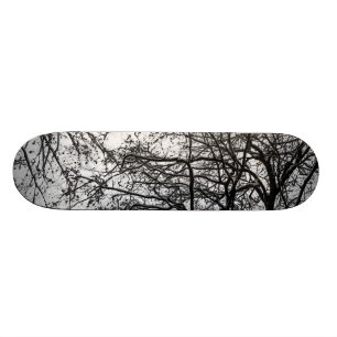 first snow skateboard